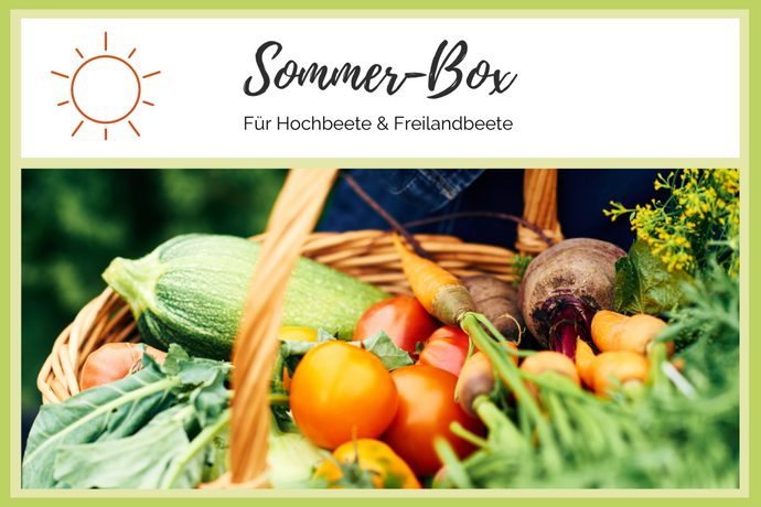Sommer-Box für Hoch- & Freilandbeete